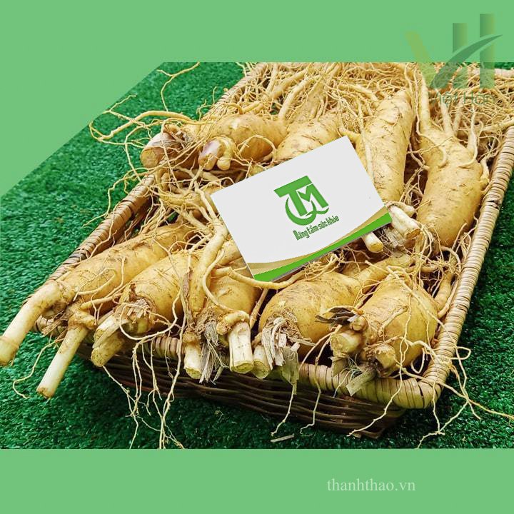 Sâm tươi Hàn Quốc 10 củ 1 kg – Sâm loại 1 8