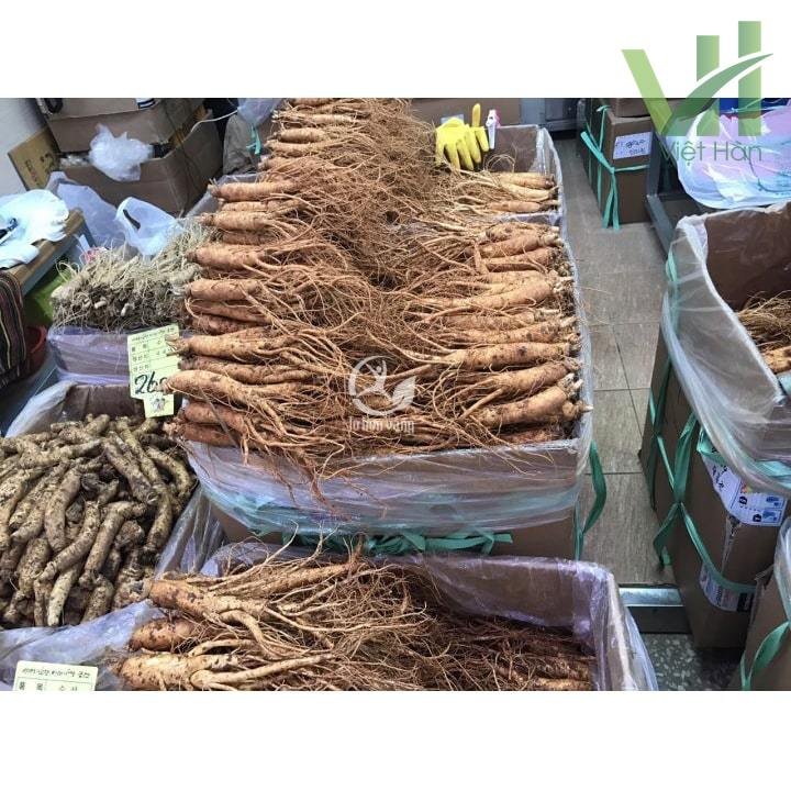 Sâm tươi Hàn Quốc 14 củ 700 gram loại 1 – Còn nguyên lớp đất 6