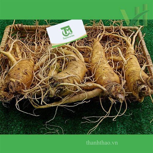 Sâm tươi Hàn Quốc 4 củ 700 gram – Nhập khẩu trực tiếp từ Hàn Quốc 8
