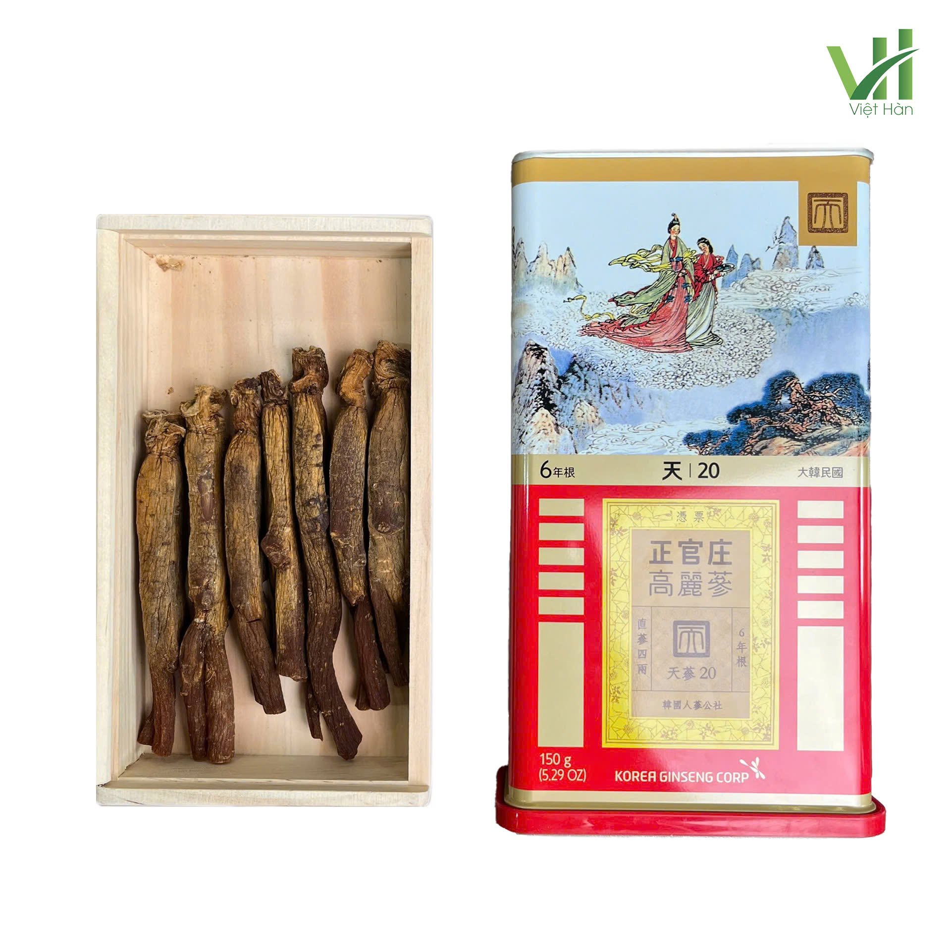 Thiên sâm khô Jung Kwan Jang Hộp 150g (số 20 – 7 củ) 8