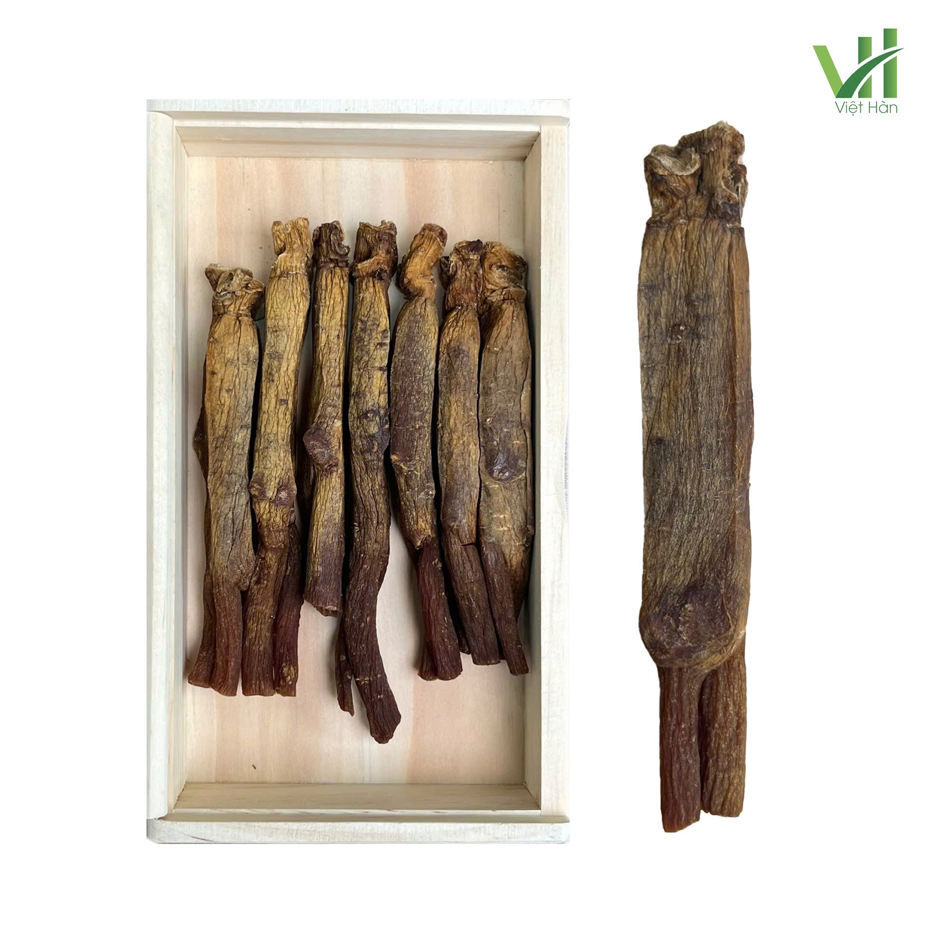 Thiên sâm khô Jung Kwan Jang Hộp 150g (số 20 – 7 củ) 4