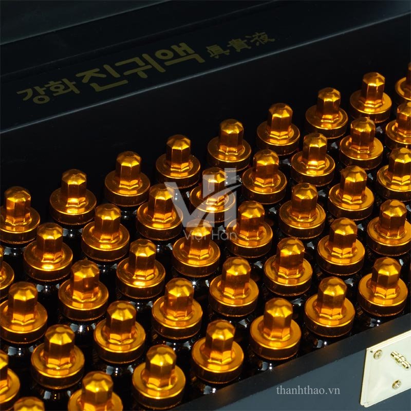 Tinh chất Đông Trùng Hạ Thảo Kanghwa Hàn Quốc Hộp 60 ống 5