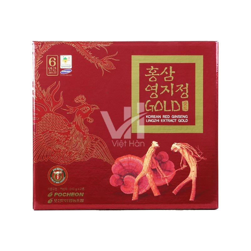 Cao Hồng Sâm Linh Chi Pocheon Hàn Quốc Hộp 240g x 2 lọ 2